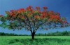 La Acacia en la Masoner&iacute;a
